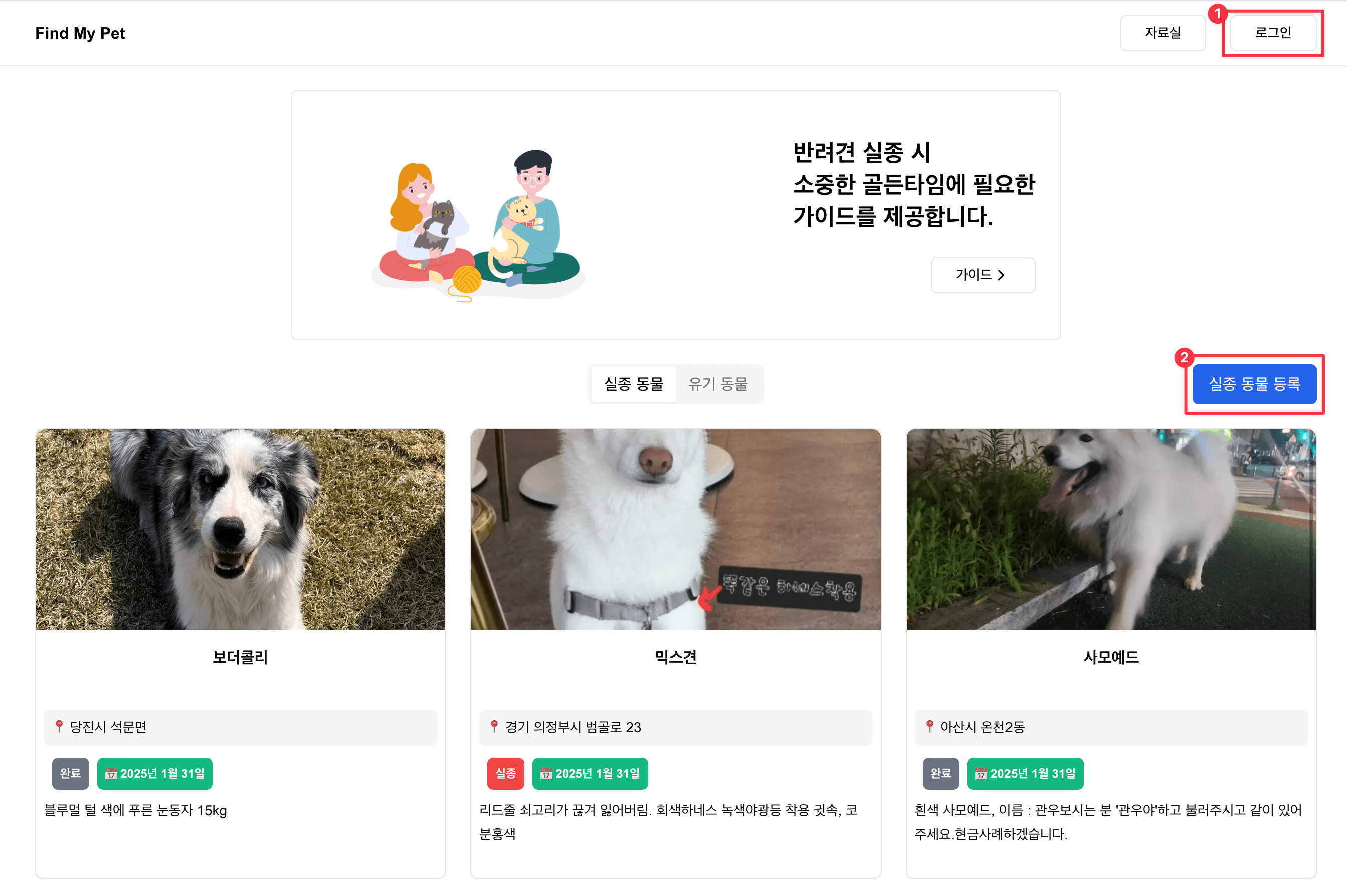 파인드마이펫 실종신고 글쓰기