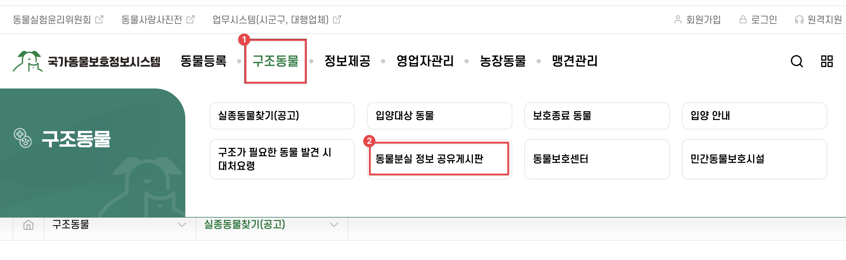 동물보호관리시스템 실종신고 글쓰기